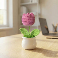 Handmade Desk Bloom Crochet Pots - Foundation Gift