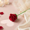 Forever Flowers