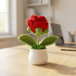Handmade Desk Bloom Crochet Pots