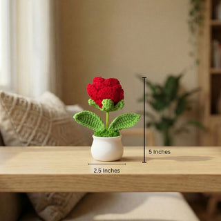 Handmade Desk Bloom Crochet Pots