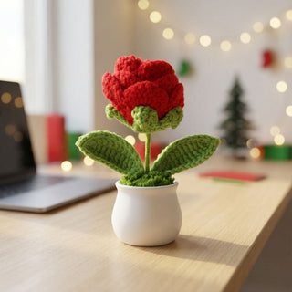 Handmade Desk Bloom Crochet Pots