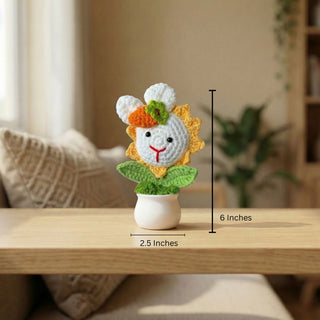 Handmade Desk Bloom Crochet Pots