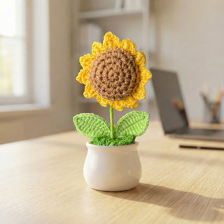 Handmade Desk Bloom Crochet Pots