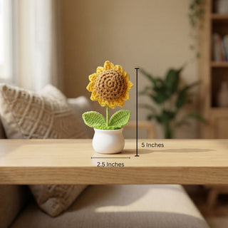 Handmade Desk Bloom Crochet Pots