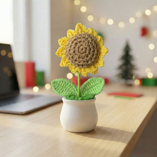Handmade Desk Bloom Crochet Pots