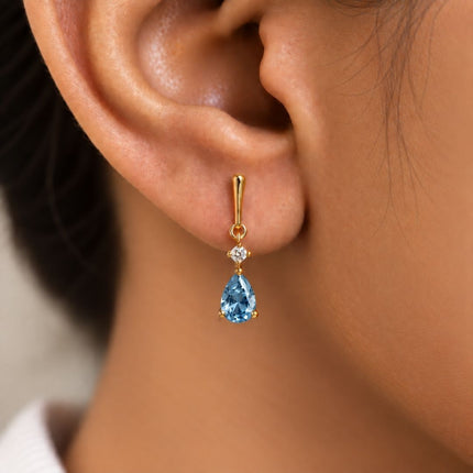 Facet Cut Birthstone Earrings