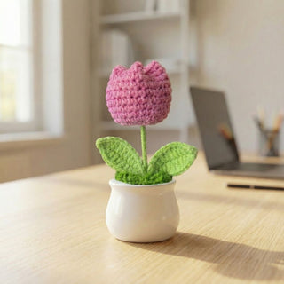 Handmade Desk Bloom Crochet Pots