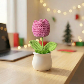 Handmade Desk Bloom Crochet Pots