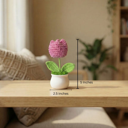 Handmade Desk Bloom Crochet Pots - Foundation Gift