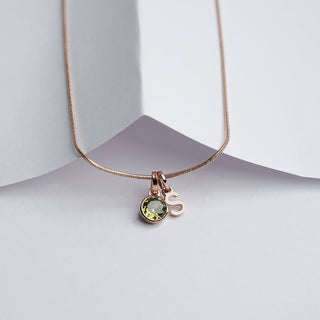 Initial Birthstone Necklace | New Launch - Foundation Gift