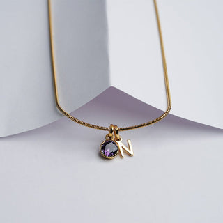 Initial Birthstone Necklace | New Launch - Foundation Gift