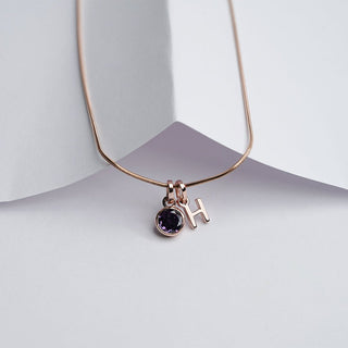 Initial Birthstone Necklace | New Launch - Foundation Gift