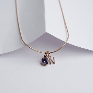 Initial Birthstone Necklace | New Launch - Foundation Gift