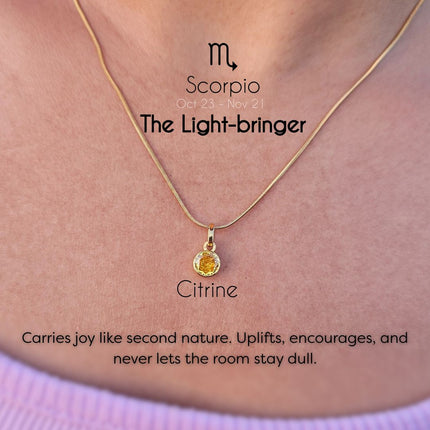 Zodiac Birthstone Necklace - Thoughtful Gift For Her - Foundation Gift